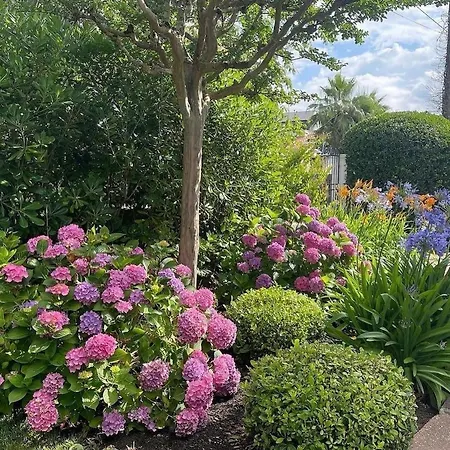 Magnifique 500 M Ocean 5 Min Du Hossegor *